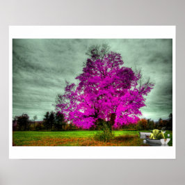 I God Played Dice with the Universe Poster