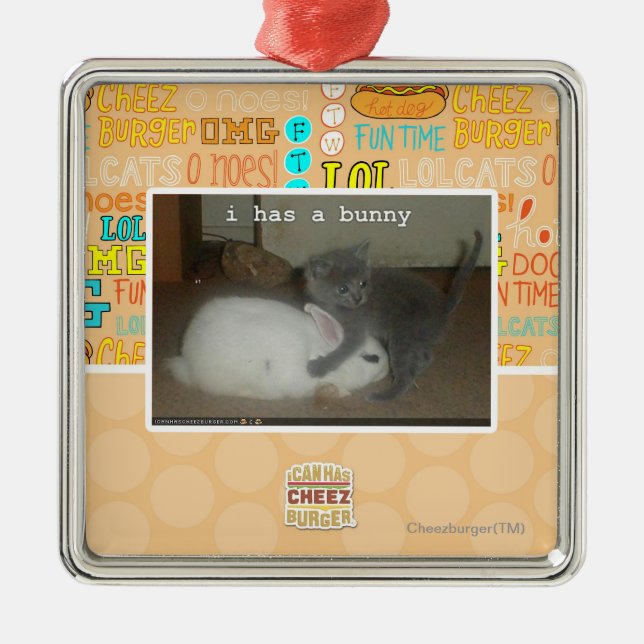 I hat ein Häschen Silbernes Ornament (Vorne)