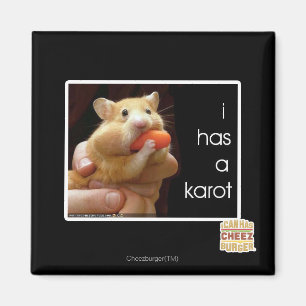 I hat ein karot magnet