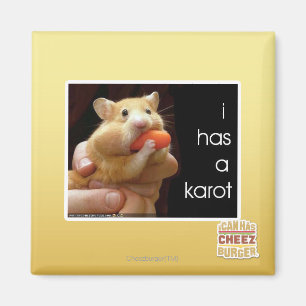 I hat ein karot magnet