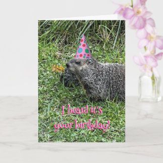 I heard it's your birthday, groundhog cards karte