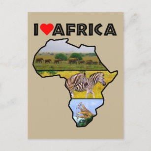 I Heat Africa Wildlife Collage Postcard Postkarte