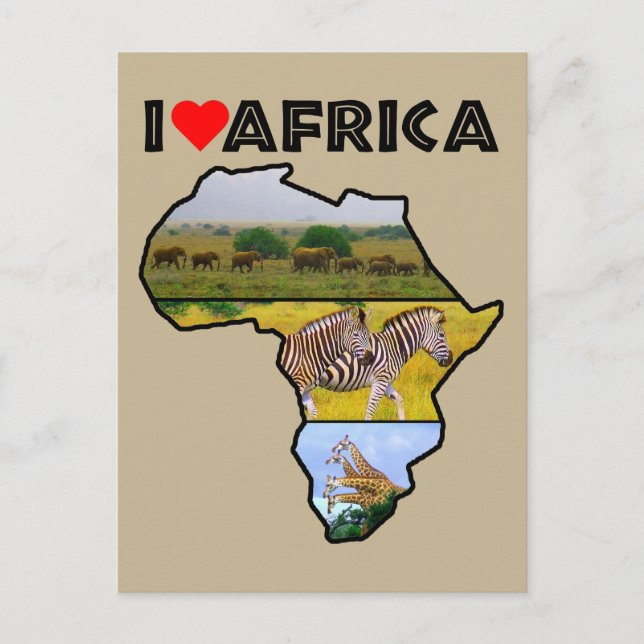 I Heat Africa Wildlife Collage Postcard Postkarte (Vorderseite)