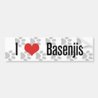 I (Herz) Basenjis