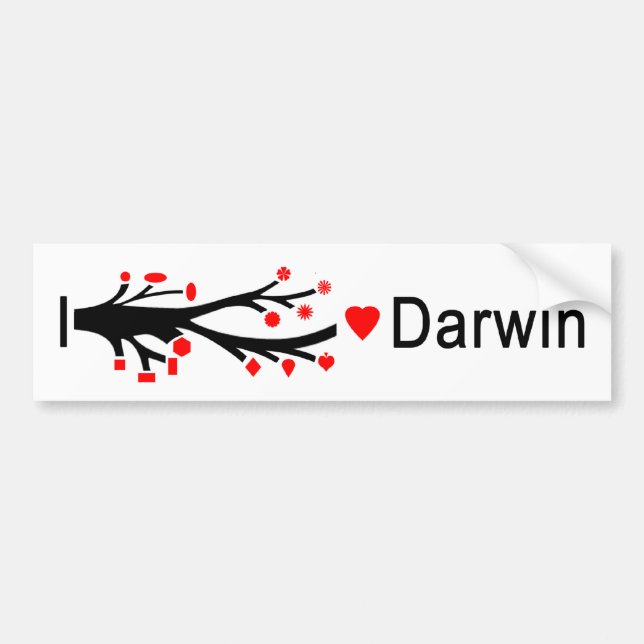 I Herz Darwin Autoaufkleber (Vorne)