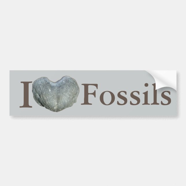 I Herz-Fossilien Autoaufkleber (Vorne)