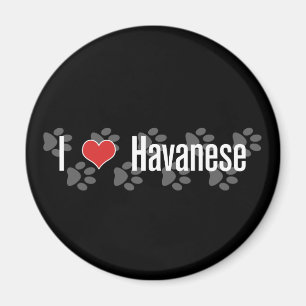 I (Herz) Havanese Magnet