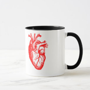 I Herz-Herzanatomie der Liebe/I Tasse
