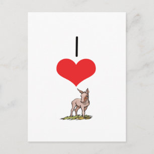 I Herz (Liebe) Postkarte