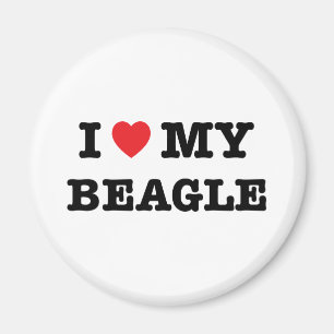 I Herz mein Beagle-Magnet Magnet