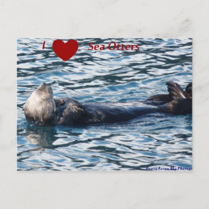 I Herz Sea Otters Postkarte