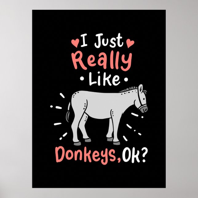 I Just Really Like Donkeys Poster (Vorne)