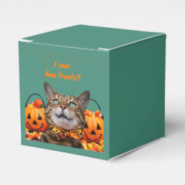 i Kann Leckereien Cat-Gefälligkeitsbox Geschenkschachtel