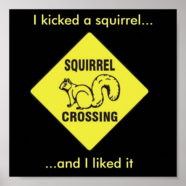 I kicked a squirrel poster (Vorne)