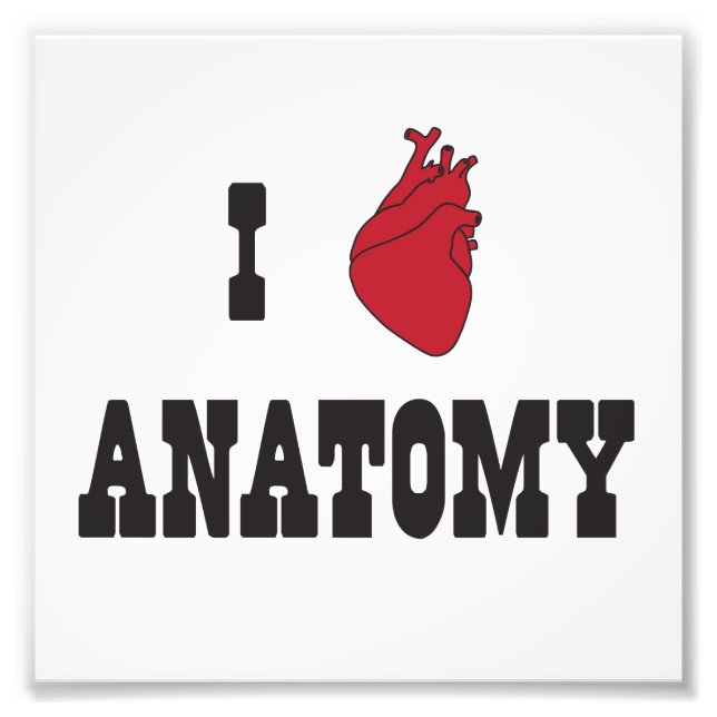 I Liebe Anatomie Fotodruck (Vorne)