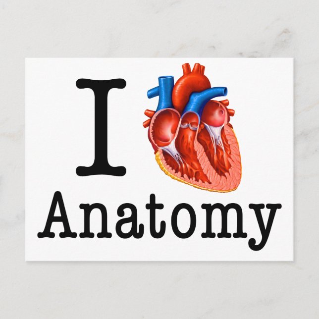 I Liebe Anatomie Postkarte (Vorderseite)