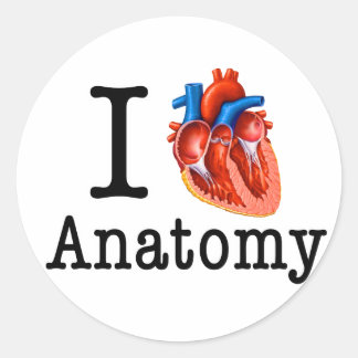 I Liebe Anatomie Runder Aufkleber