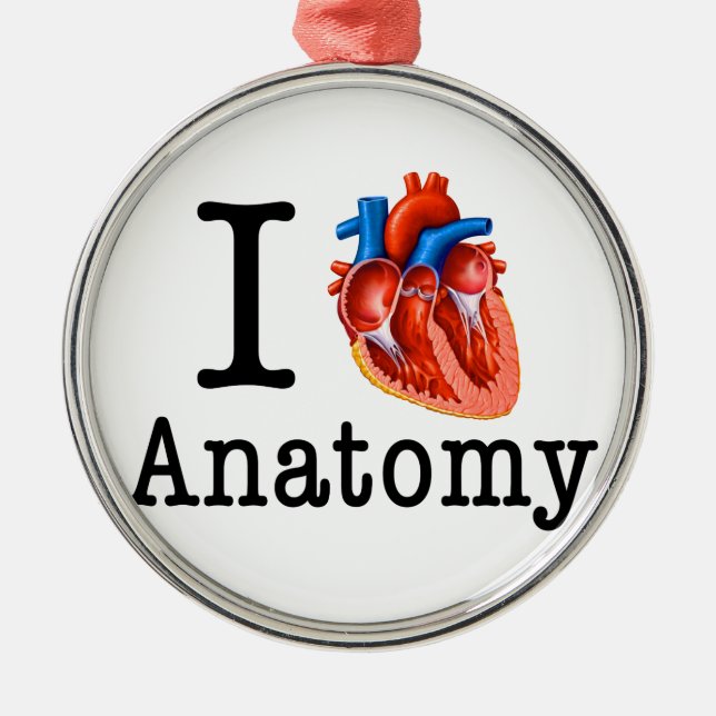 I Liebe Anatomie Silbernes Ornament (Vorne)