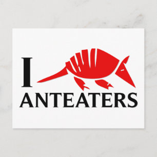 I Liebe Anteaters Postkarte