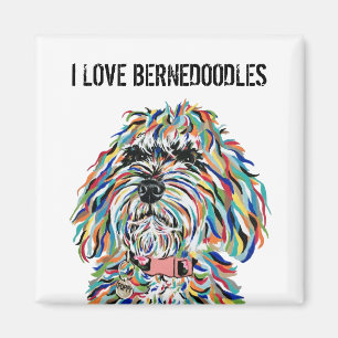 I Liebe Bernedoodles Magnet