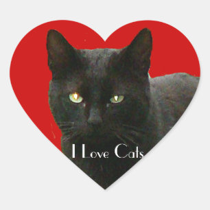 I Liebe Black Cats Herz-Aufkleber