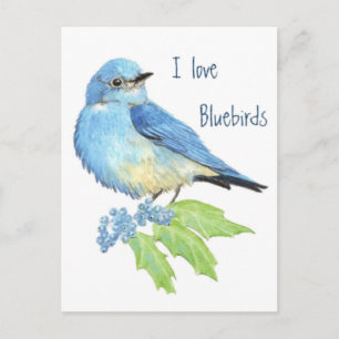 I Liebe Bluebirds, Vogelsammlung Postkarte