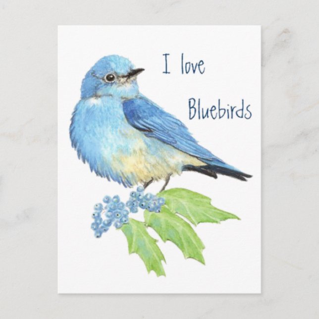 I Liebe Bluebirds, Vogelsammlung Postkarte (Vorderseite)