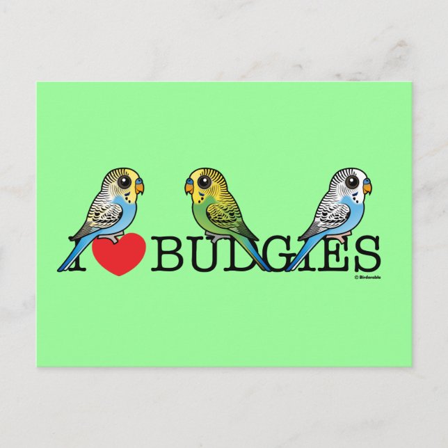 I Liebe Budgies Postkarte (Vorderseite)