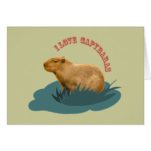 I Liebe Capybaras
