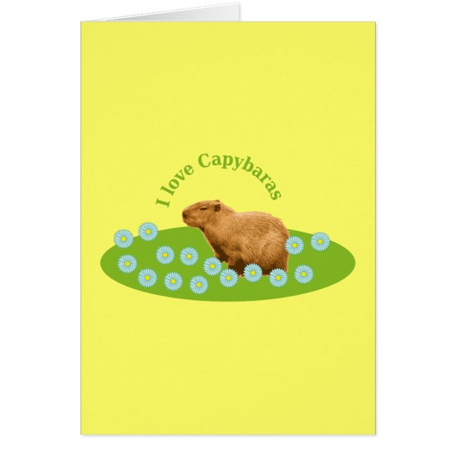 I Liebe Capybaras (Vorne)