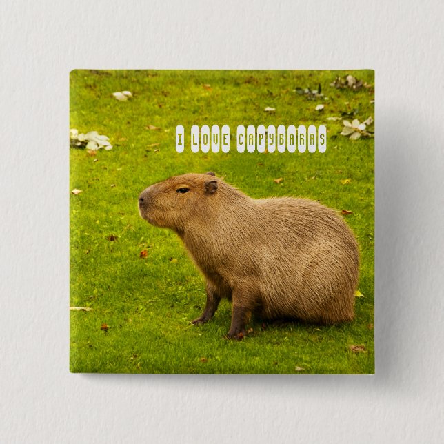 I Liebe Capybaras Button (Vorderseite)