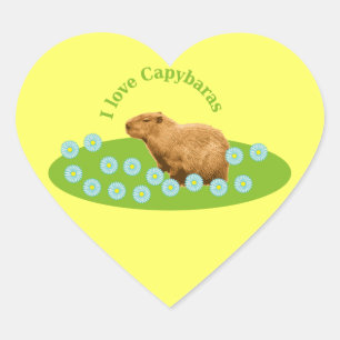 I Liebe Capybaras Herz-Aufkleber