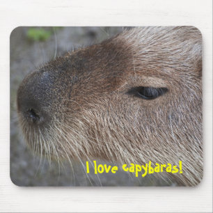 I Liebe Capybaras Mousepad