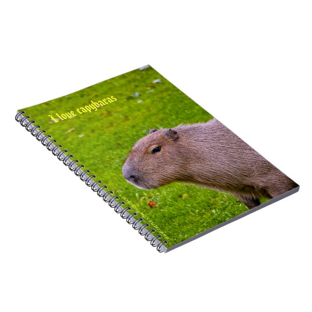 I Liebe Capybaras Notebook Notizblock (Rechte Seite)