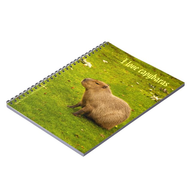 I Liebe Capybaras Notebook Notizblock (Linke Seite)