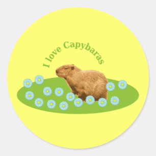 I Liebe Capybaras Runder Aufkleber