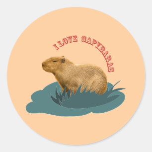 I Liebe Capybaras Runder Aufkleber