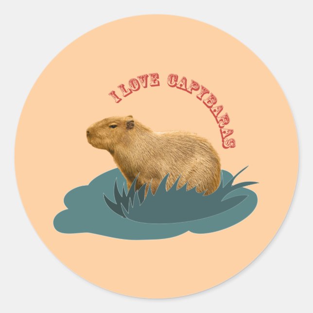 I Liebe Capybaras Runder Aufkleber (Vorderseite)