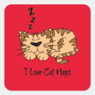 I Liebe Cat Nickerchen, Quadratischer Aufkleber