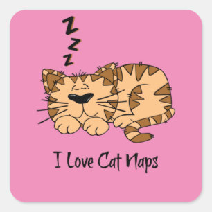 I Liebe Cat Nickerchen, Quadratischer Aufkleber