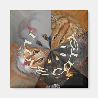 I Liebe Cats Magnet