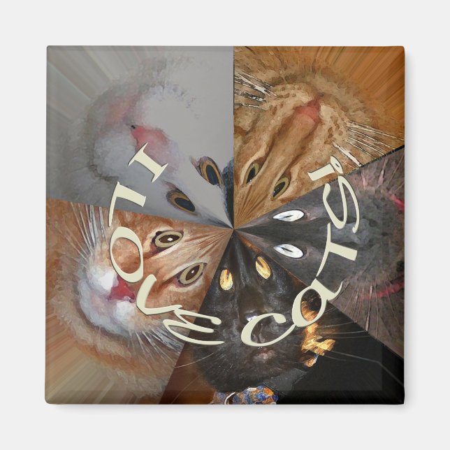 I Liebe Cats Magnet (Vorne)