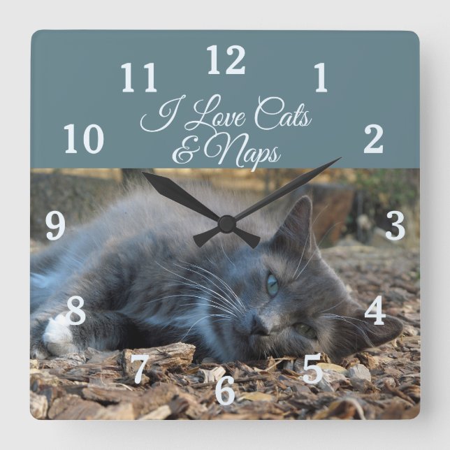 I Liebe Chat & Nickerchen Wall Clock Quadratische Wanduhr (Vorderseite)