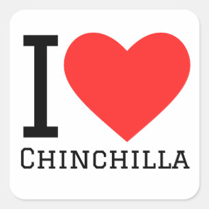 I Liebe Chinchilla Quadratischer Aufkleber