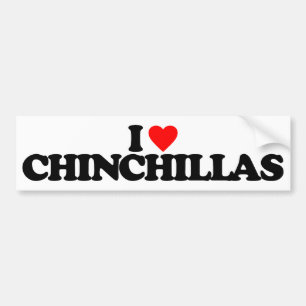 I LIEBE-CHINCHILLAS AUTOAUFKLEBER