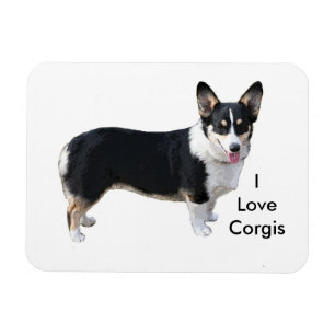 I Liebe Corgis Magnet