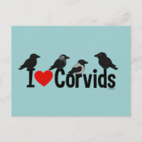 I Liebe Corvids