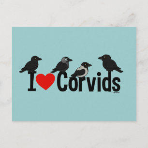 I Liebe Corvids Postkarte