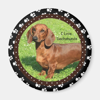 I Liebe Dackeln 2 Magnet