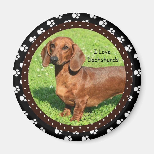 I Liebe Dackeln 2 Magnet (Vorne)